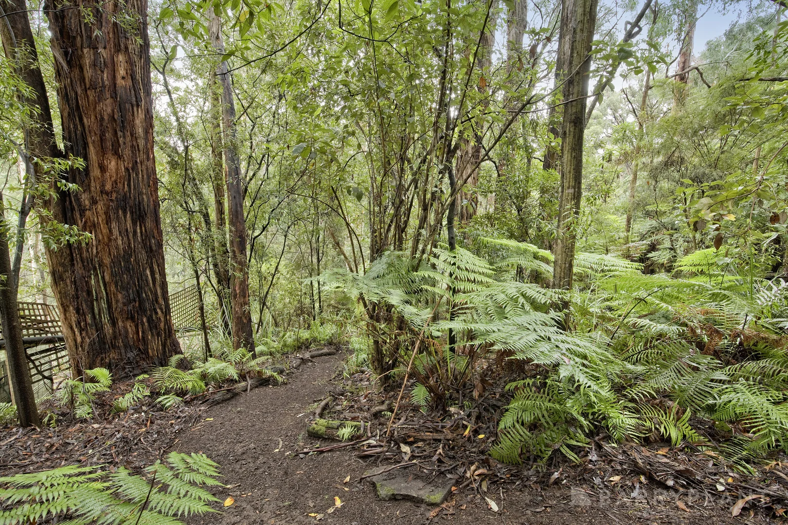 Image 15