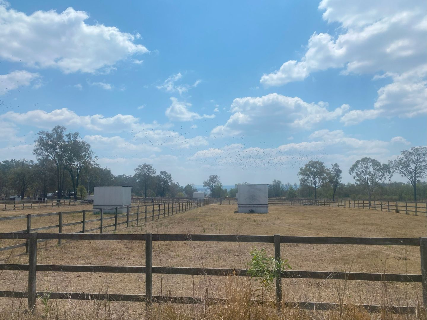 80 Missouri Road, Veradilla QLD 4347, Image 2