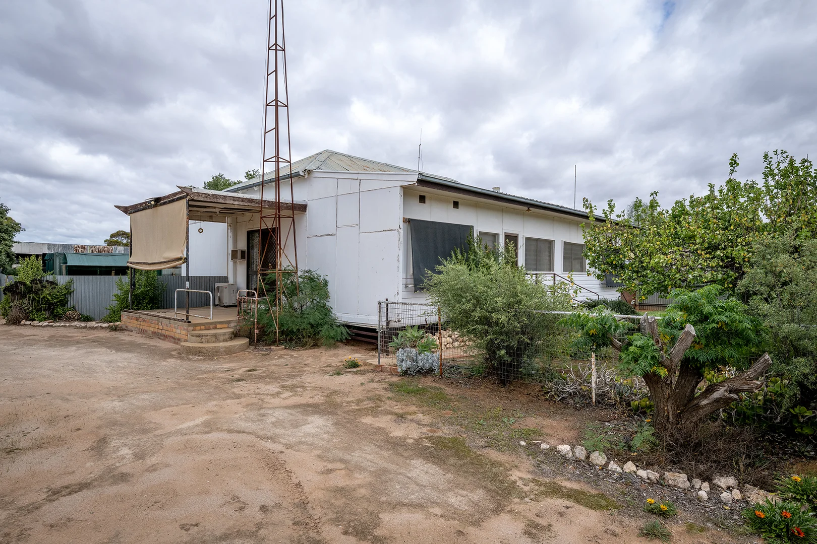 Image 4