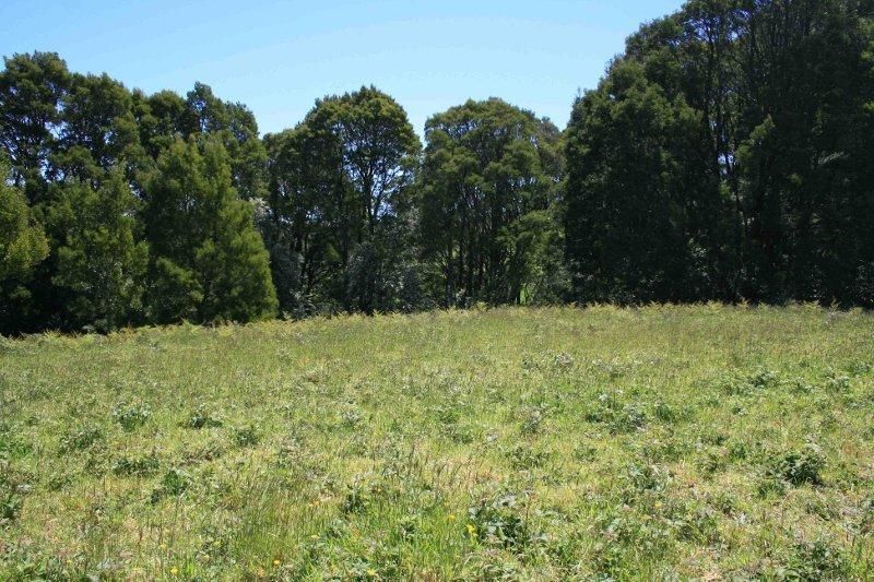 Lot 9 Dehnerts Track, BEECH FOREST VIC 3237, Image 0