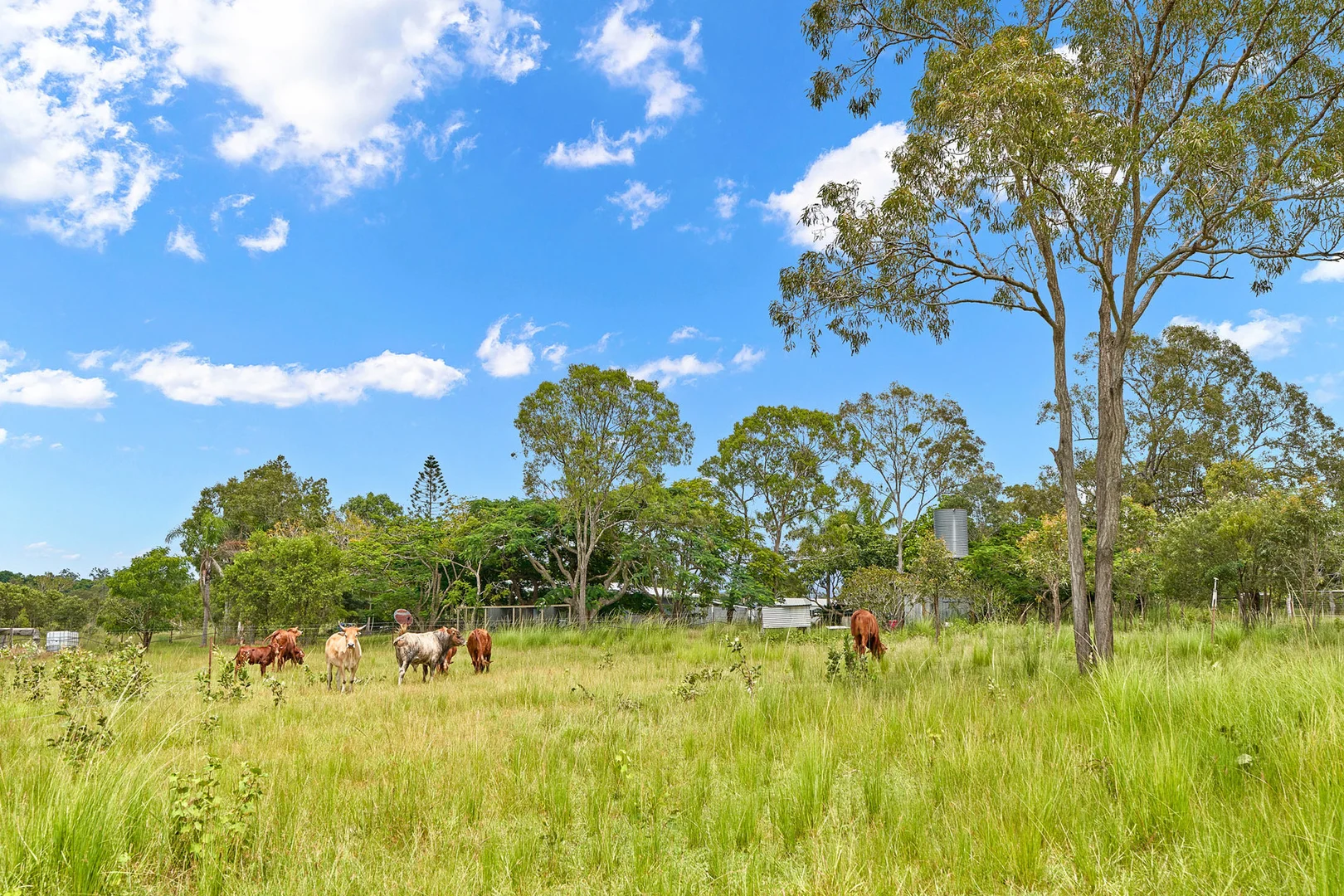Additional image 2 of Lot 2/468 Bilwon Road, Biboohra QLD 4880