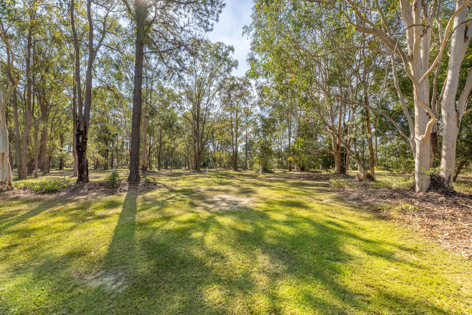 Additional image 31 of 279 Newlands Road, Wamuran QLD 4512