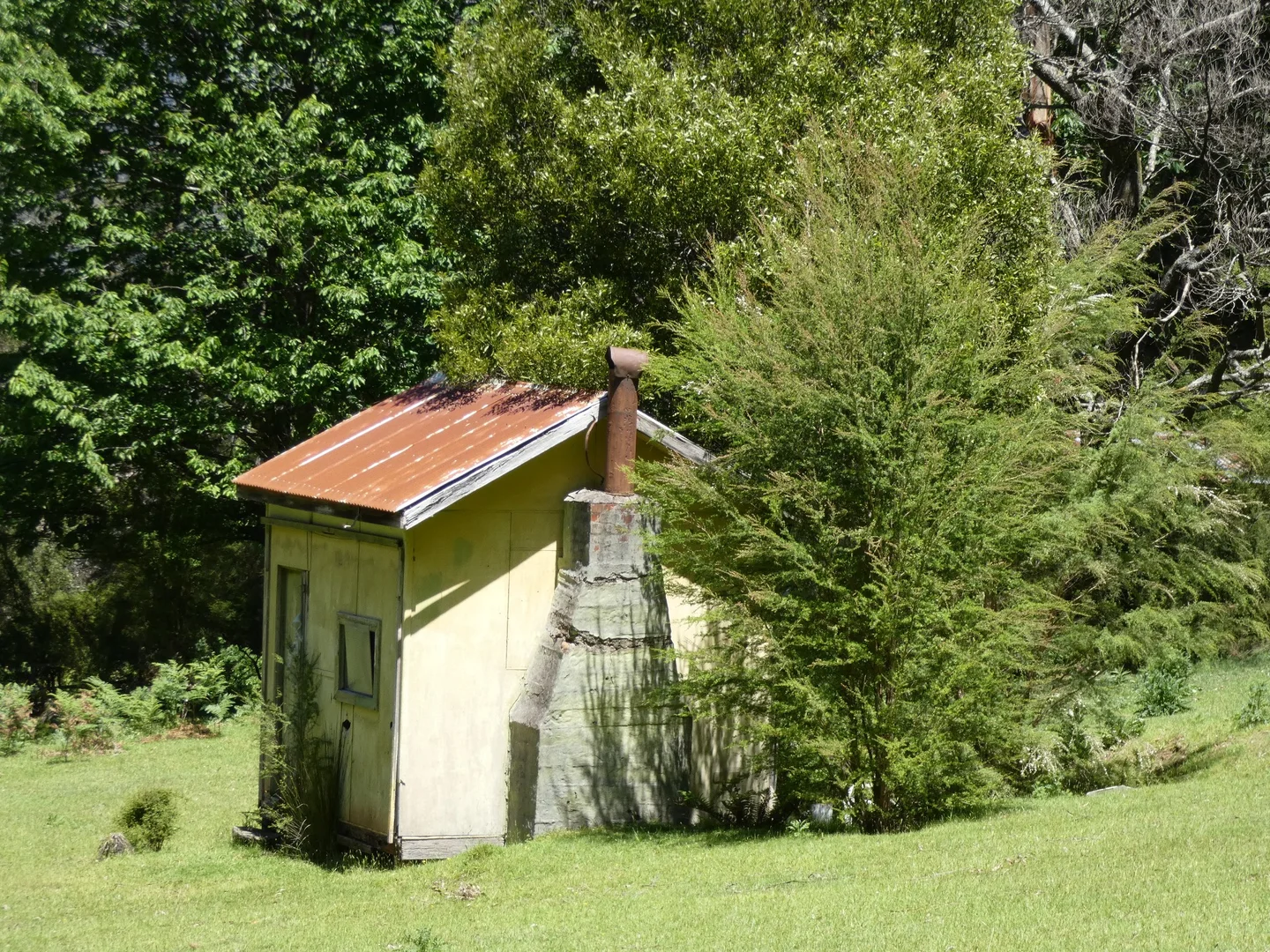 Image 19
