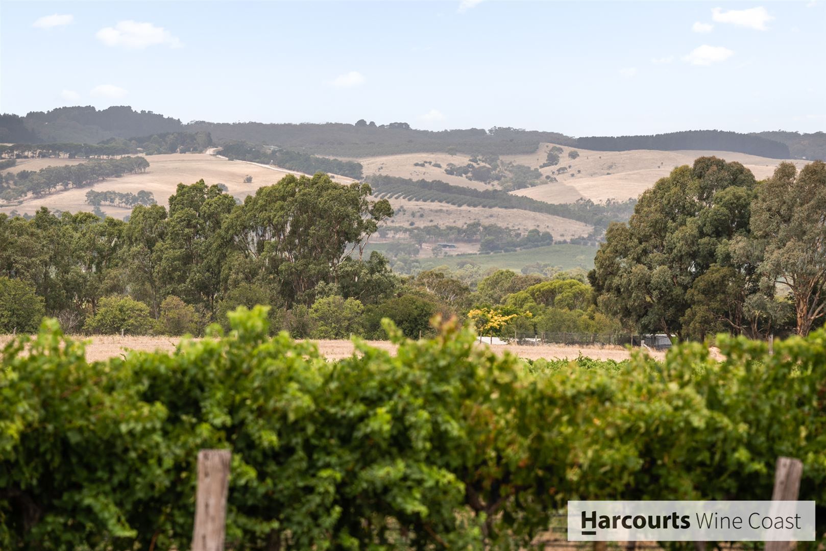 53 Main Road, Mclaren Vale SA 5171, Image 1