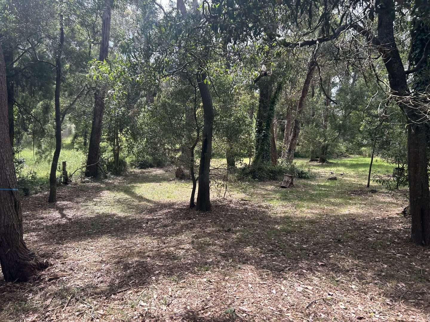 Image 10