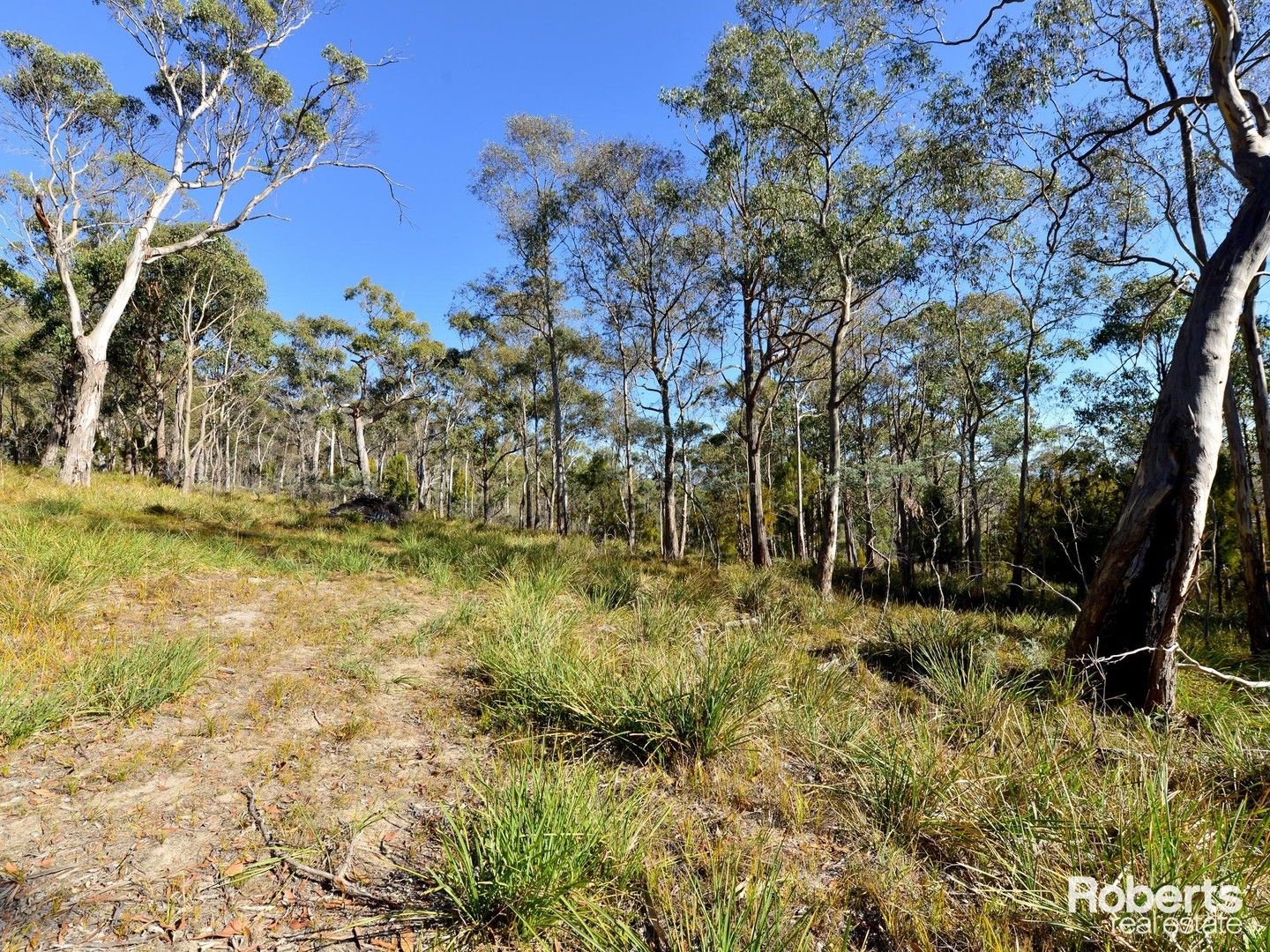 Fentonbury TAS 7140, Image 0