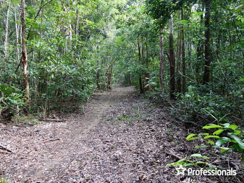 Lot 88 Rossville Bloomfield Road, Bloomfield QLD 4895, Image 1