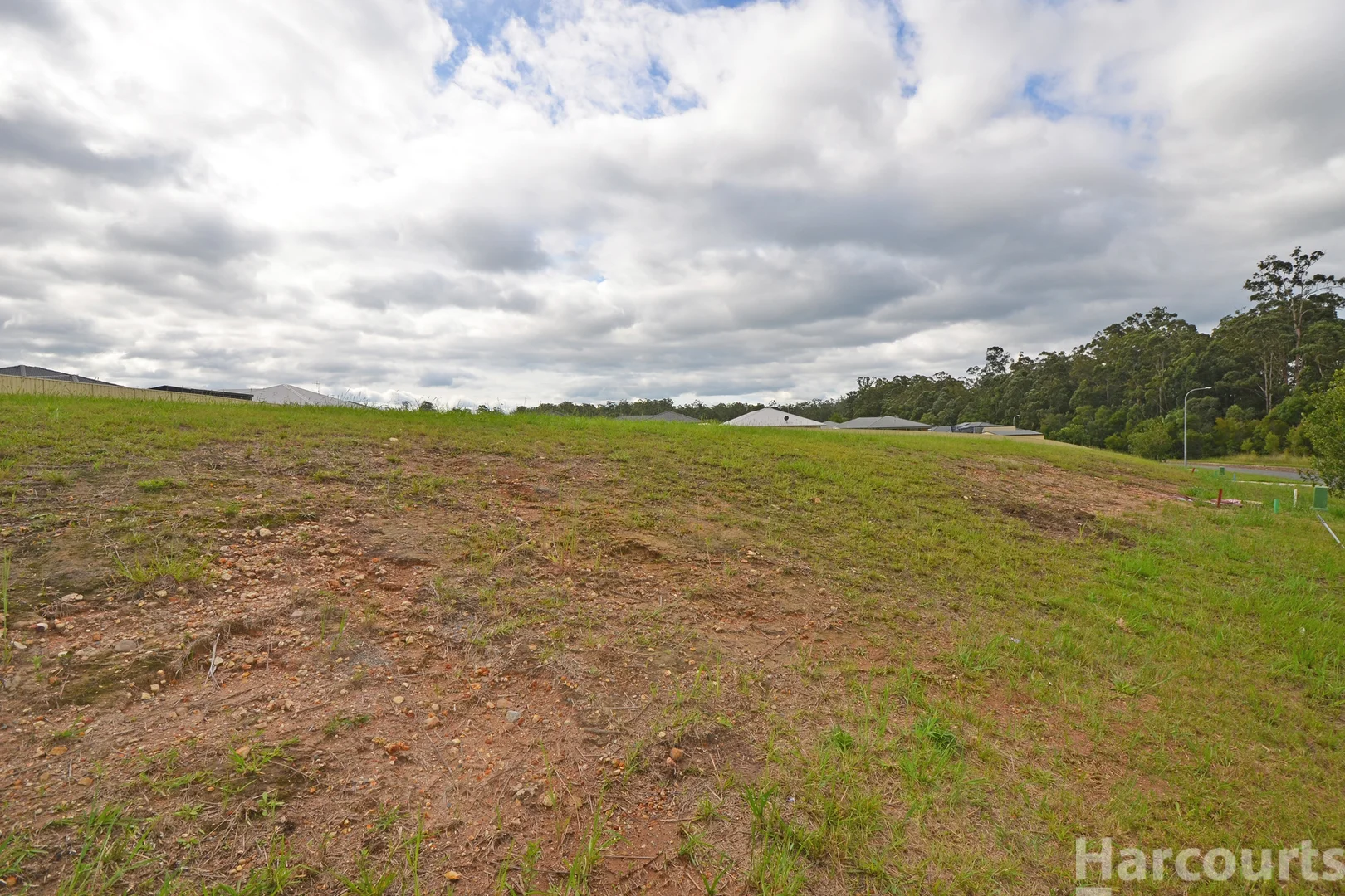 Image 13