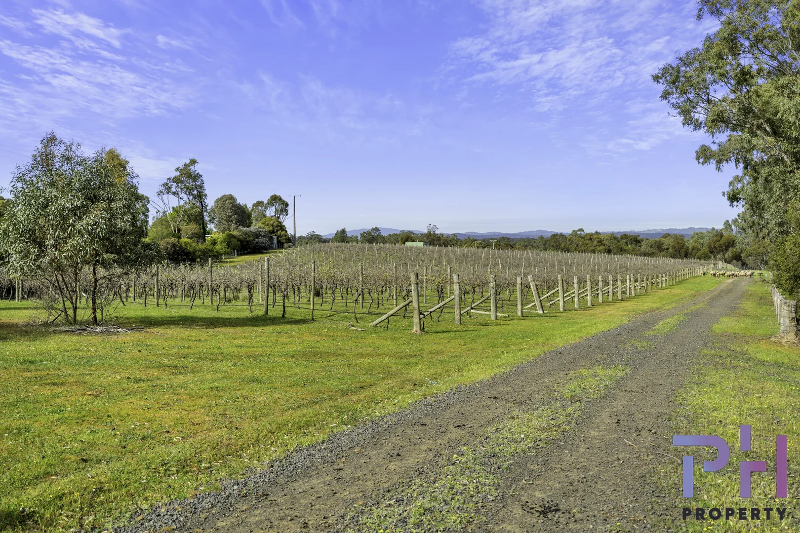 Additional image 4 of 384A Sinclairs Road, Strathfieldsaye VIC 3551