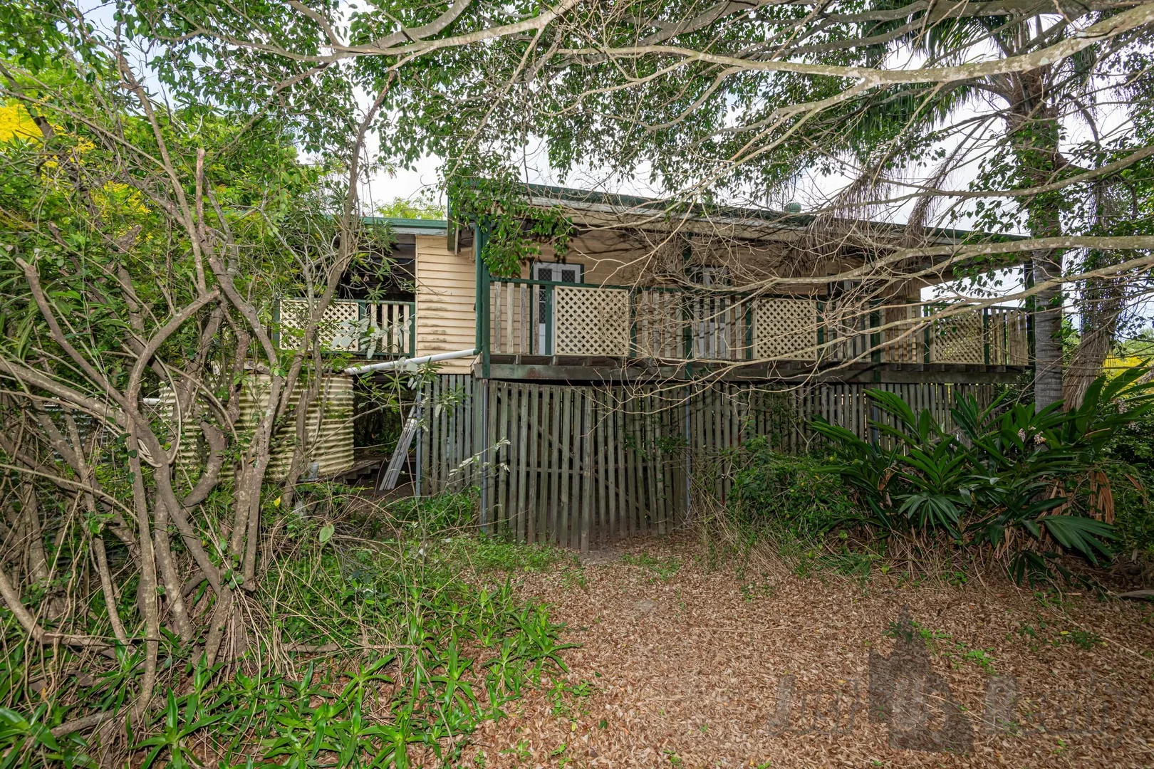 Image 10