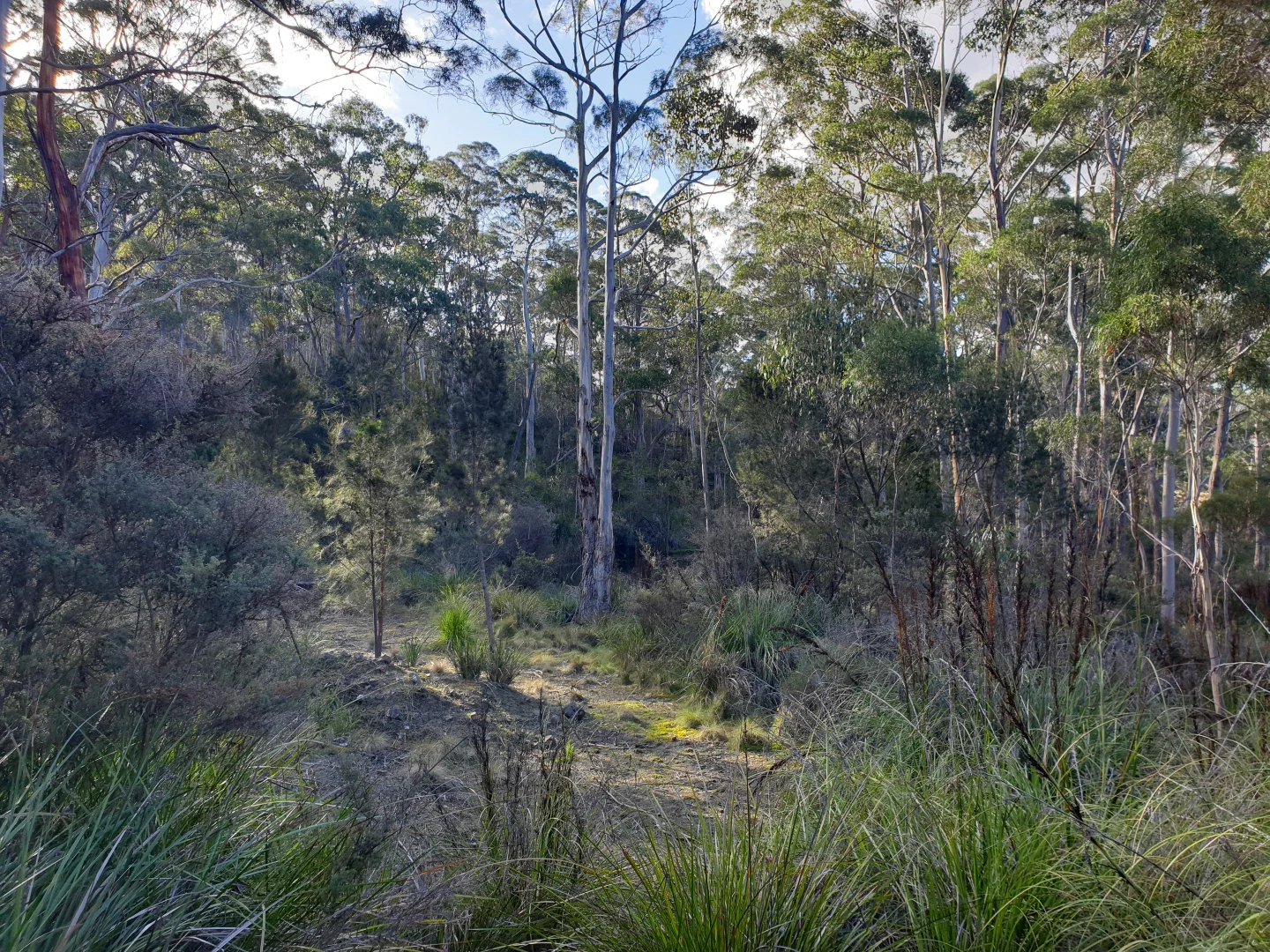 Image 10