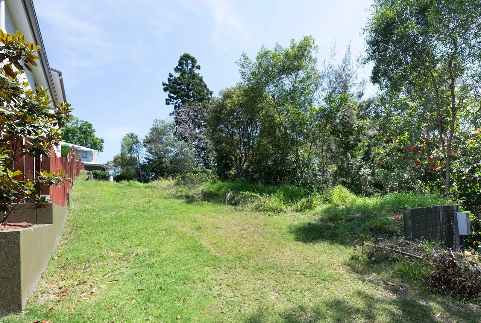 Image 12