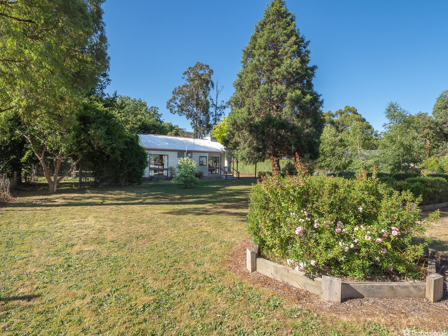 12 Steavenson Road, Buxton VIC 3711, Image 1