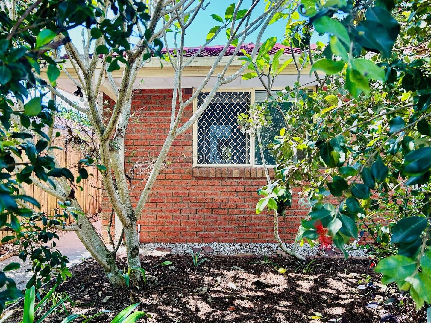 7/31 Kingsford Drive, Brunswick Heads NSW 2483, Image 0