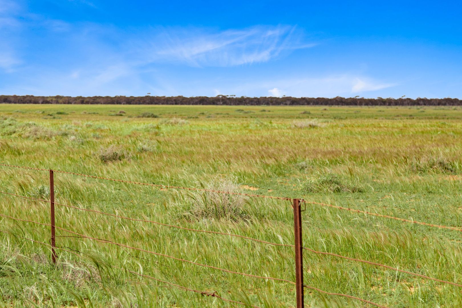 Lot 217 Bower Boundary Road, Steinfeld SA 5356, Image 2