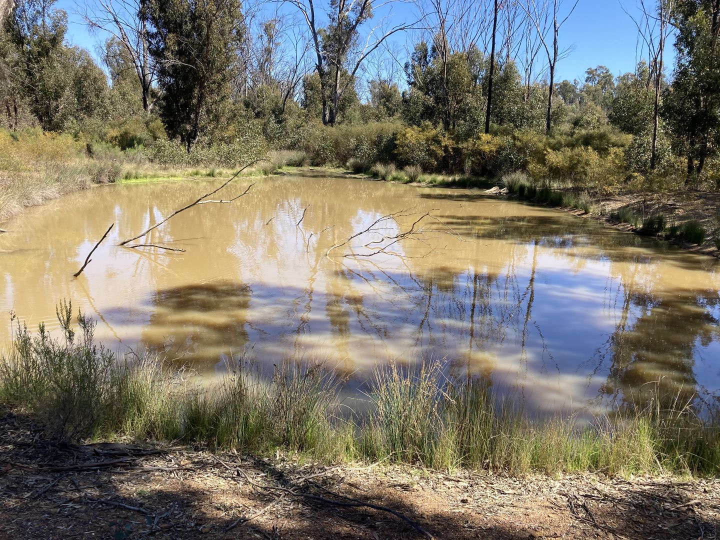 12392 GOLDEN HIGHWAY, Uarbry NSW 2329, Image 1