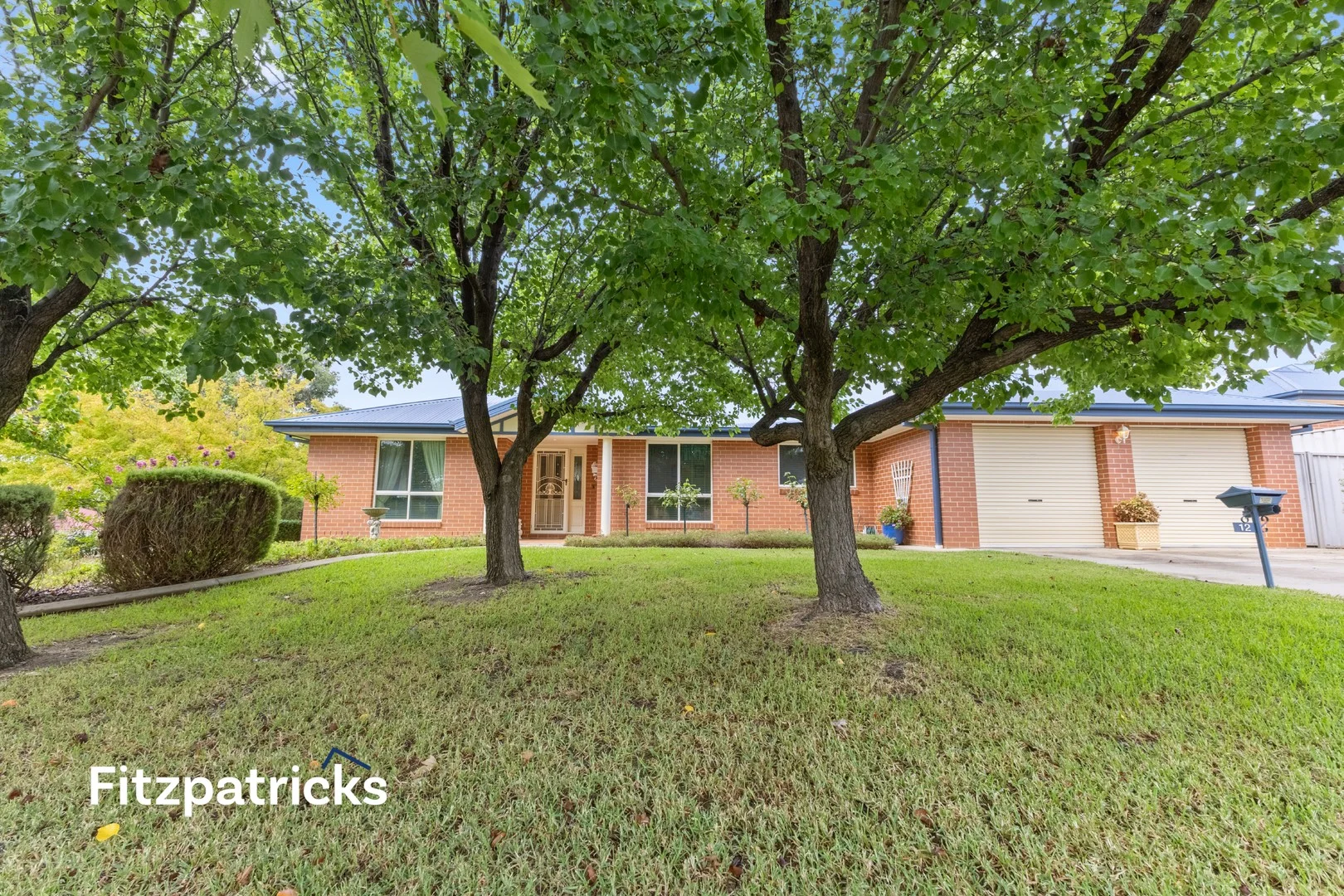 Additional image 24 of 12 Namoi Street, Tatton NSW 2650