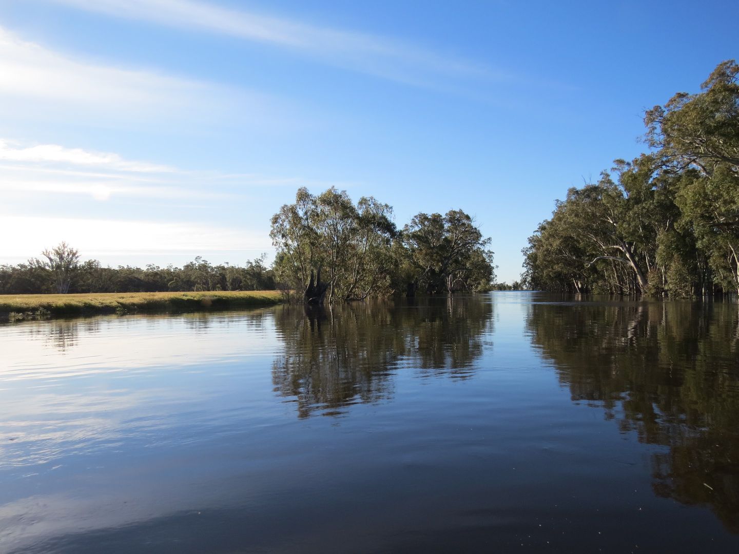 "LONGREACH" 2757 BALPOOL ROAD, Moulamein NSW 2733, Image 1