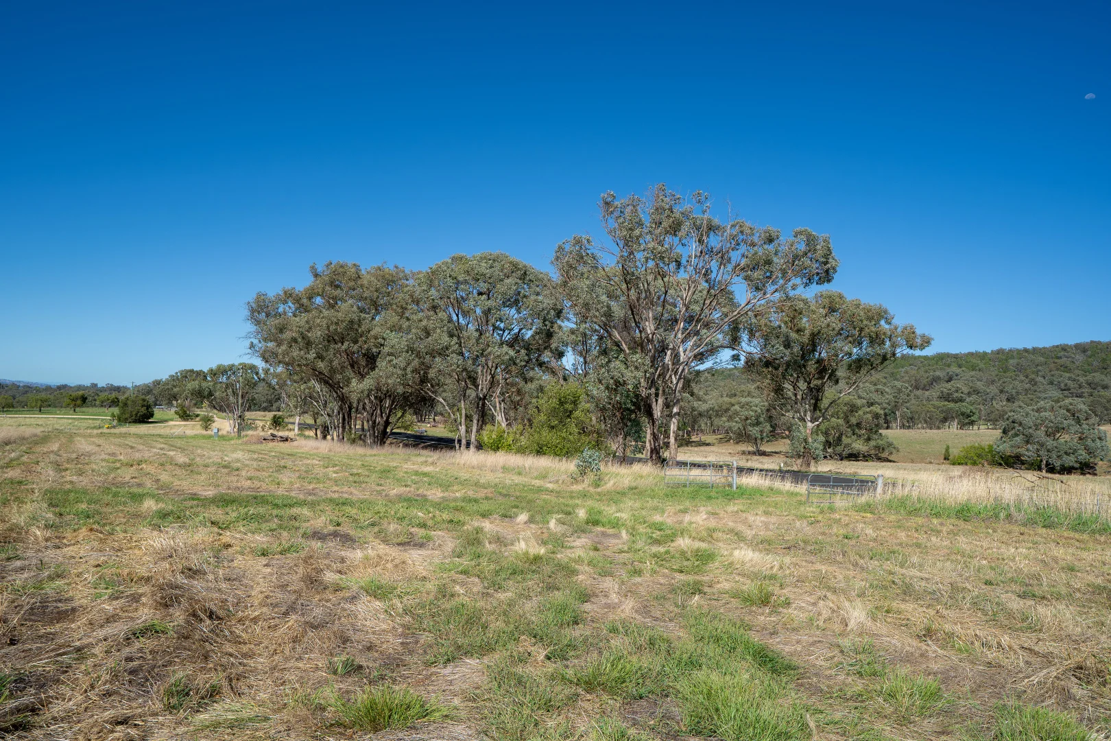 Additional image 11 of 614 Peabody Road, Molong NSW 2866