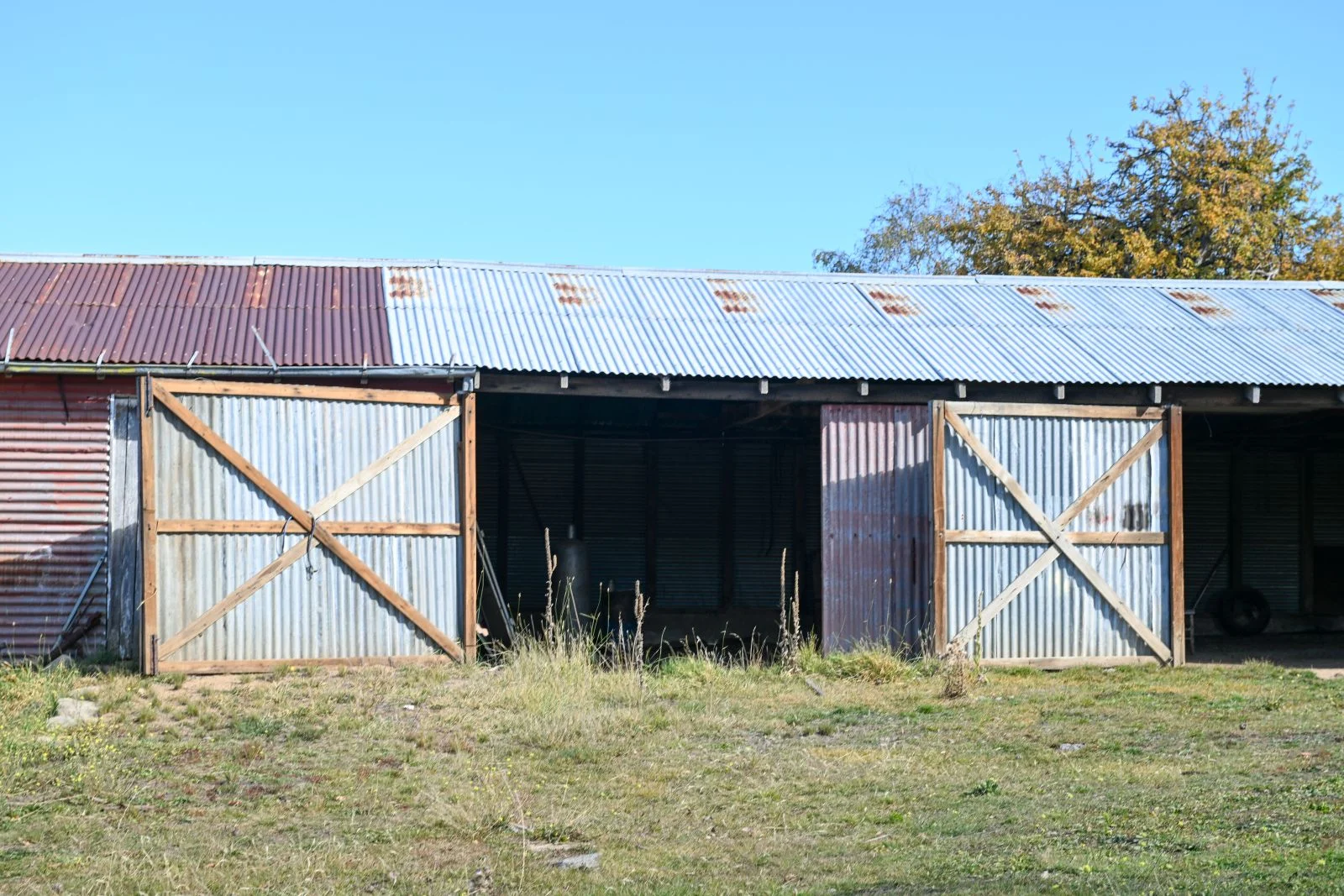 Image 11