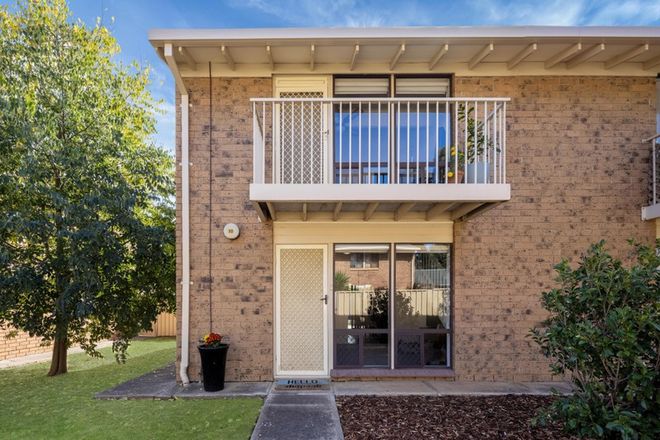 Picture of 10/14 Windsor Avenue, CLOVELLY PARK SA 5042
