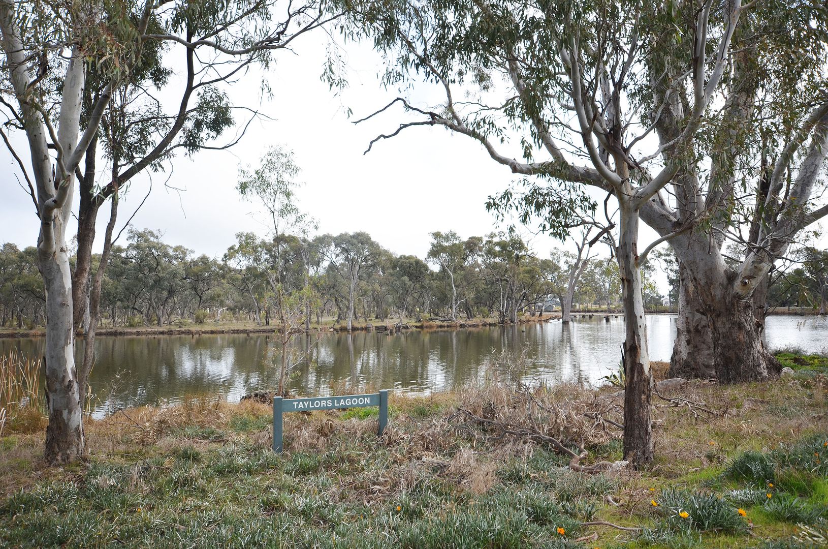 1143 Island Road, Echuca VIC 3564, Image 2