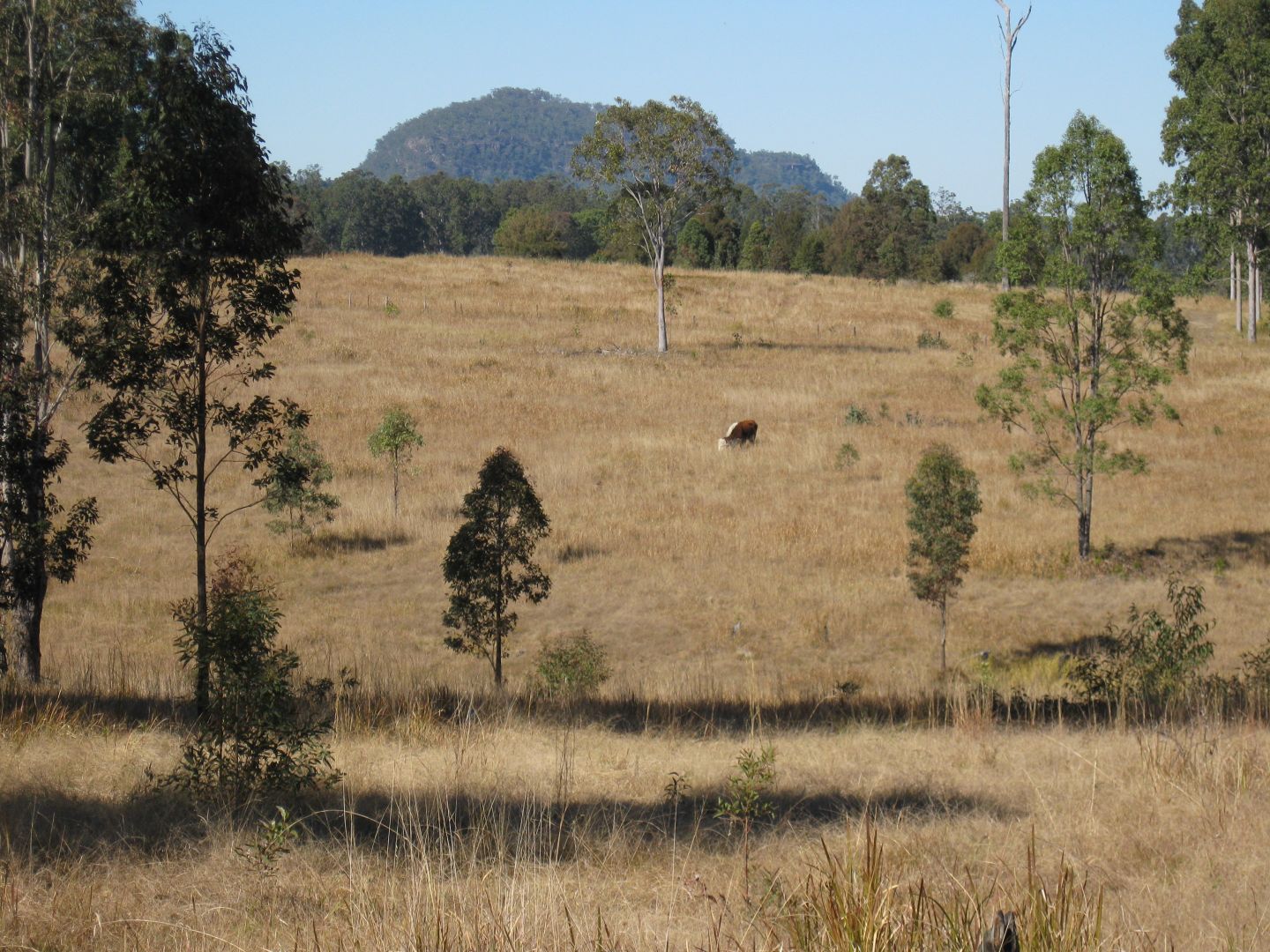 551 Barretts Creek Rd, Barretts Creek NSW 2460, Image 1