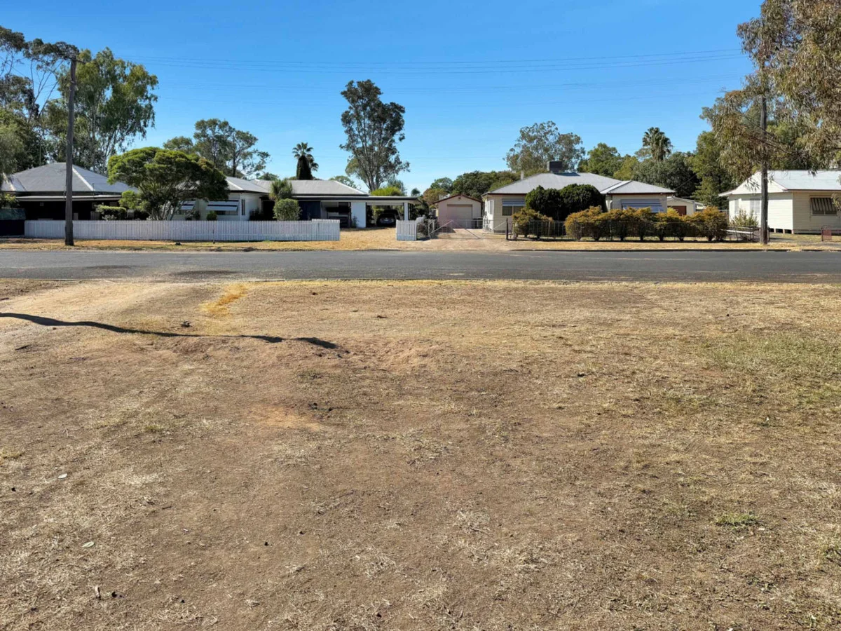 Image 15