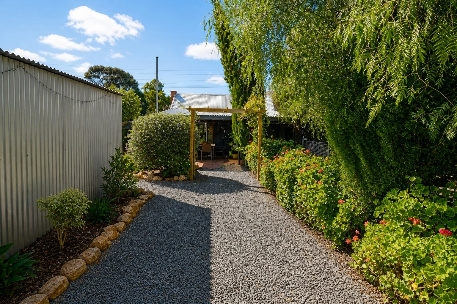 Image 19