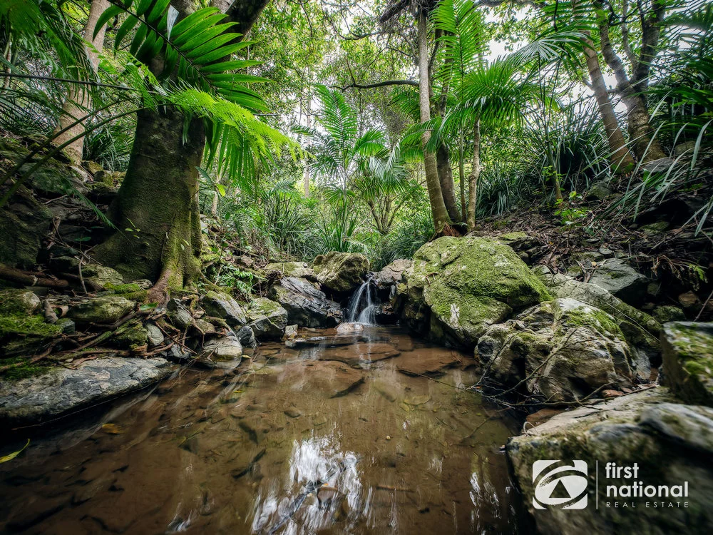 Additional image 31 of 164C Fridays Creek Road, Upper Orara NSW 2450