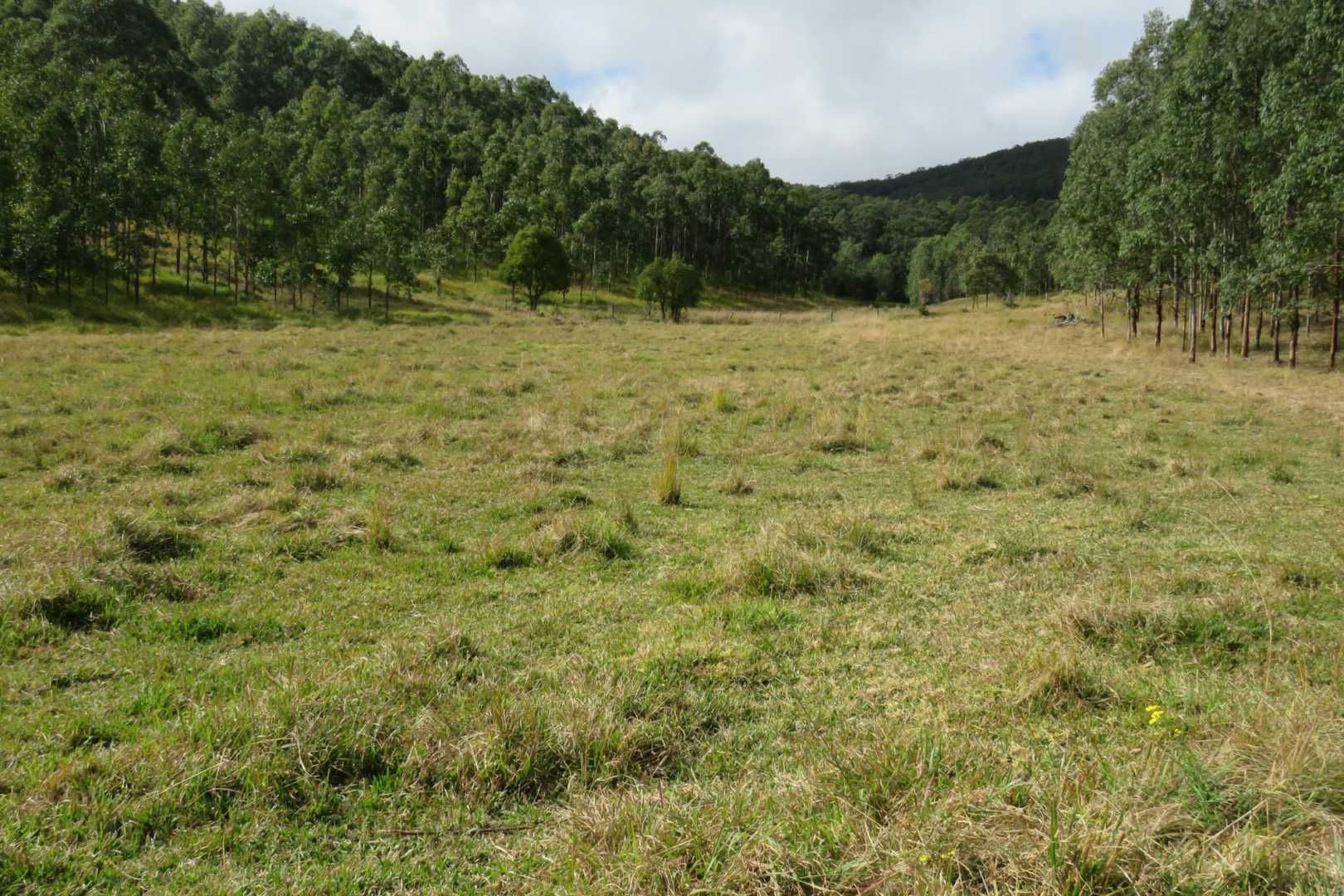 Lot 2 Clarence Way, Urbenville NSW 2475, Image 1