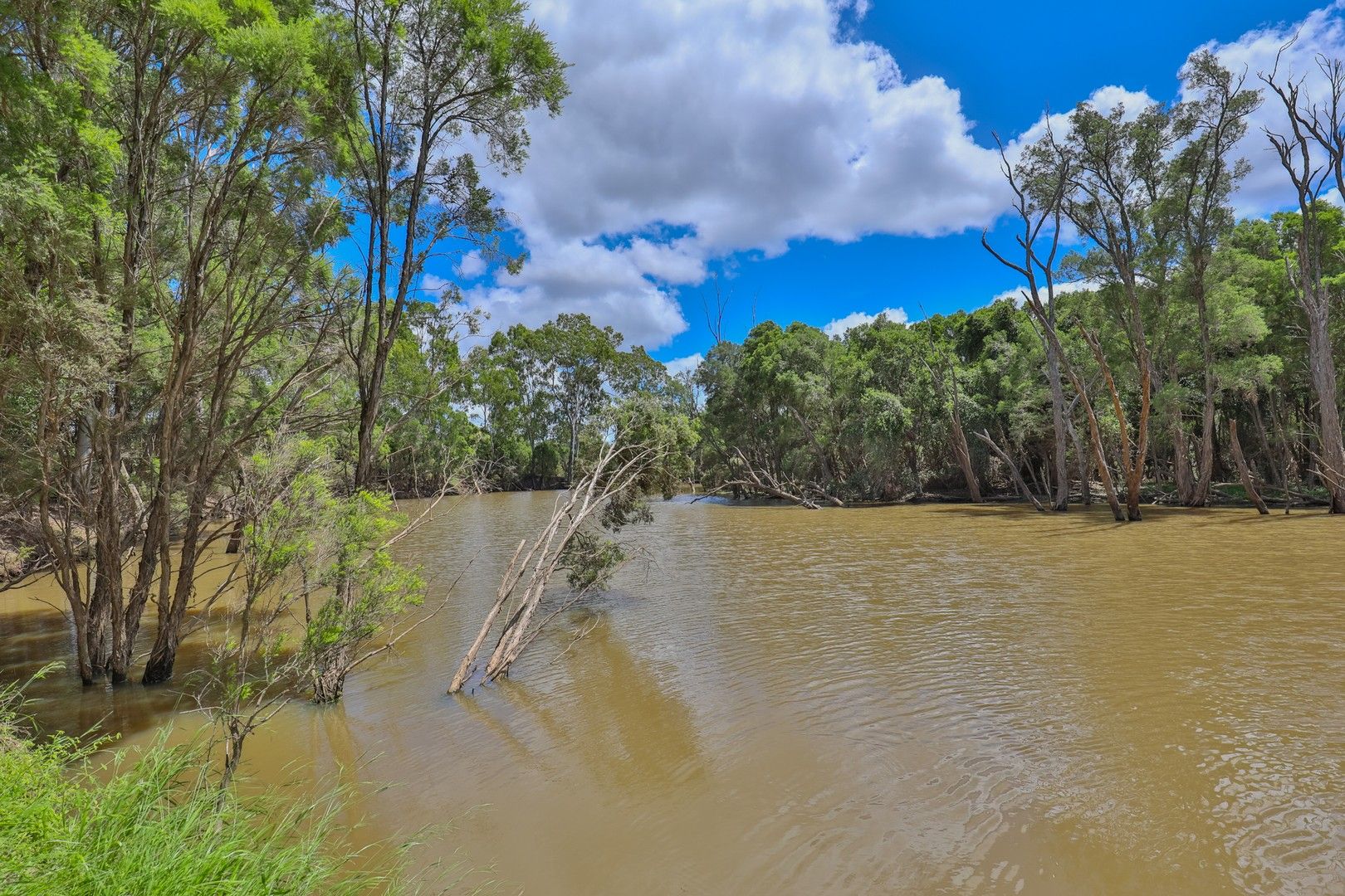 56 Millers Road, Duingal QLD 4671 Specialist Farm for Sale Domain
