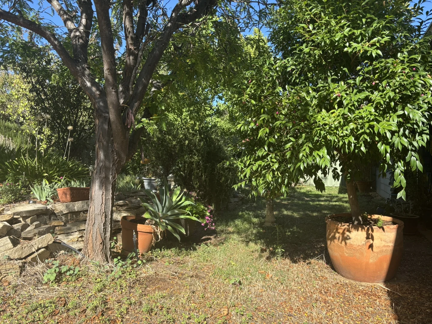 Additional image 33 of 4 Ellery Place, Toodyay WA 6566