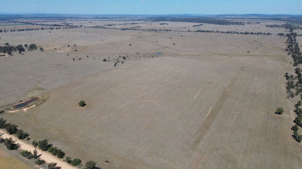 Nellie Vale Middle Trundle Road, Trundle NSW 2875 House for Sale