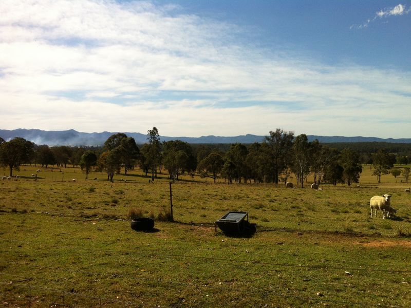 CEDAR PARTY NSW 2429, Image 1