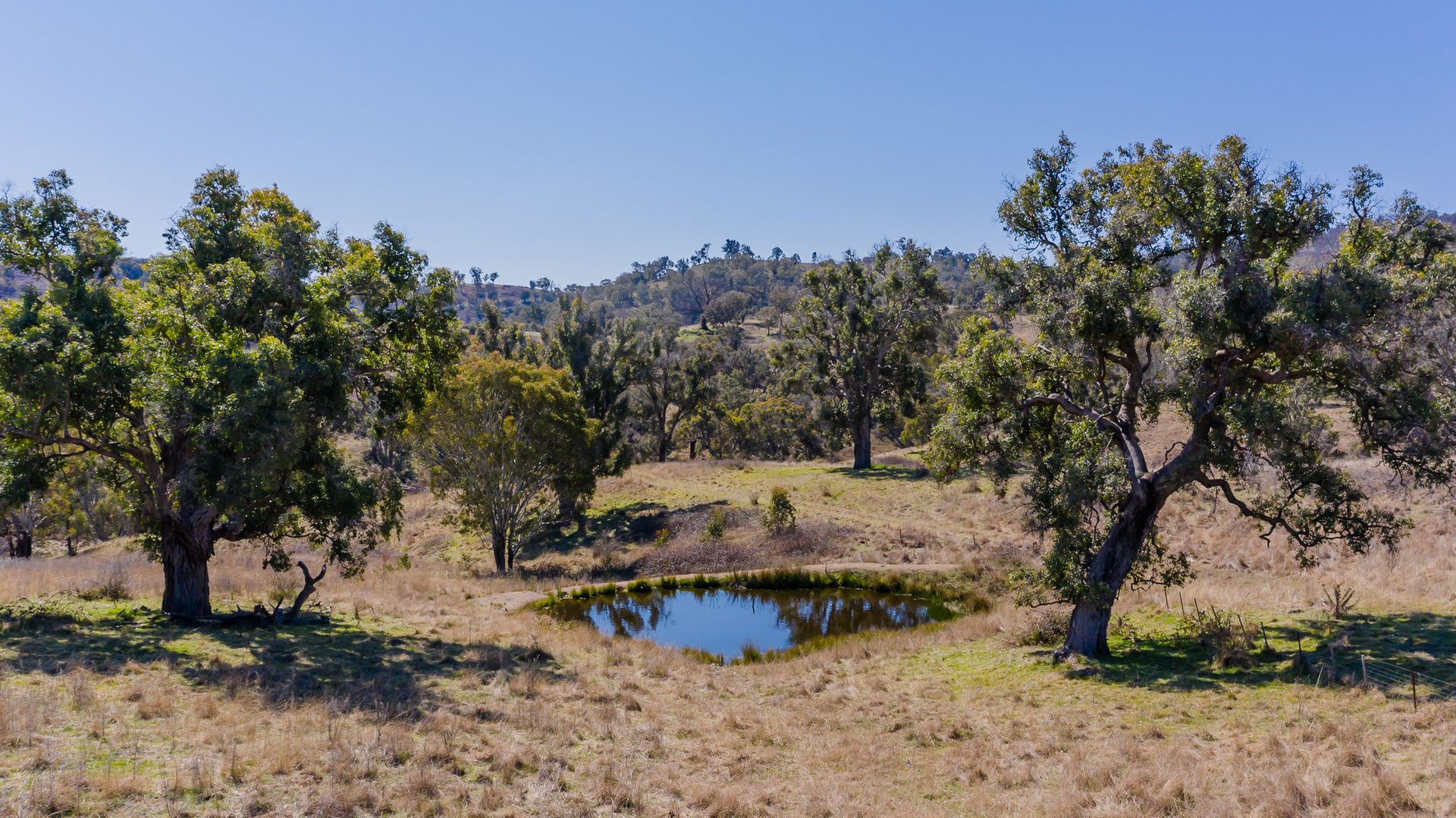 'Rutherglen' Limbri-Weabonga Road, Weabonga NSW 2340, Image 1