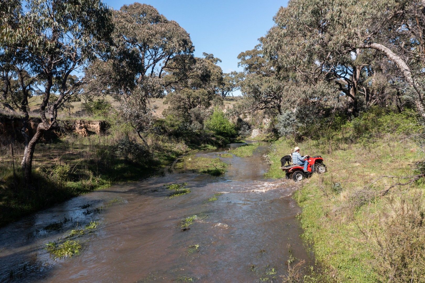 "Yarandoo" 425 Bundarra Road, Jerangle NSW 2630, Image 0