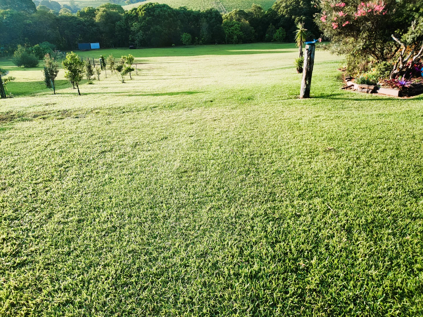 Additional image 31 of 17 Cahill Close, Peeramon QLD 4885