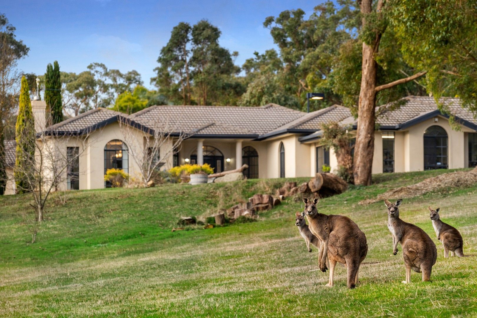 24 Greenwood Grove, Woodend VIC 3442 Domain