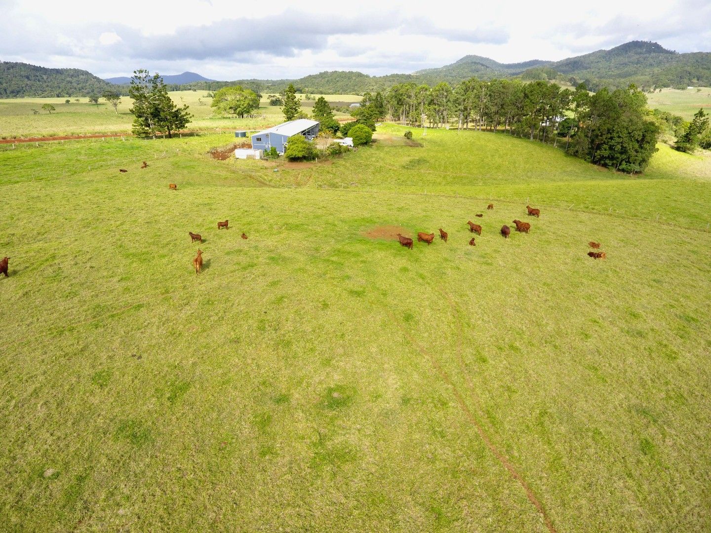 Ravenshoe QLD 4888, Image 0