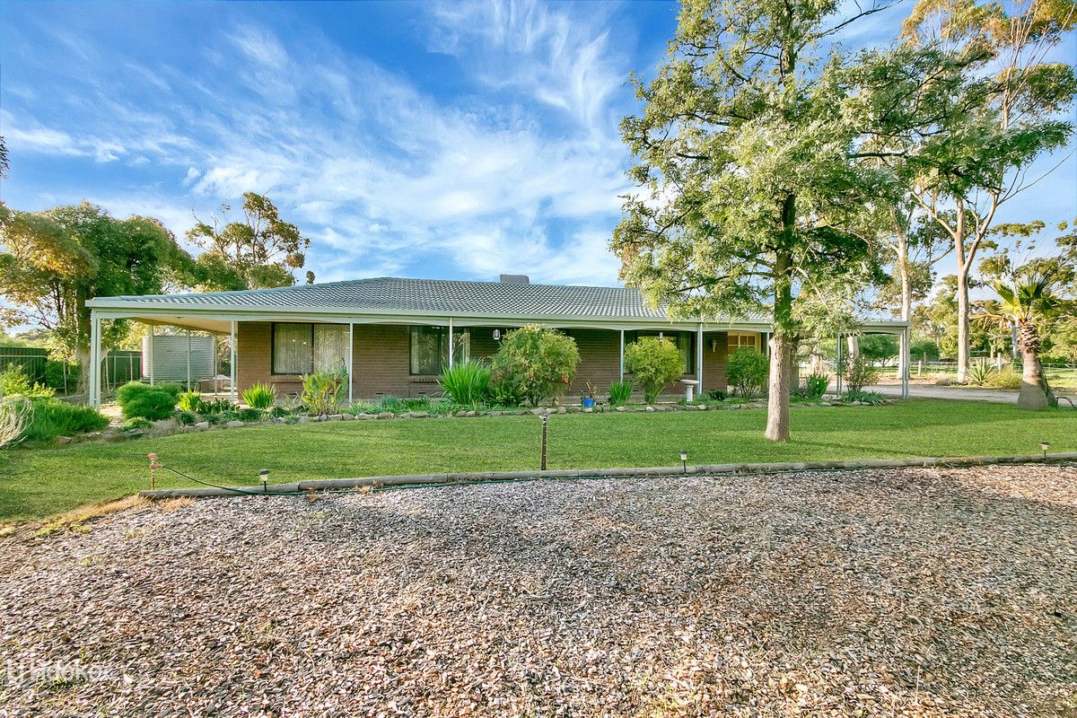 40 Gartrell Street, Roseworthy SA 5371, Image 1