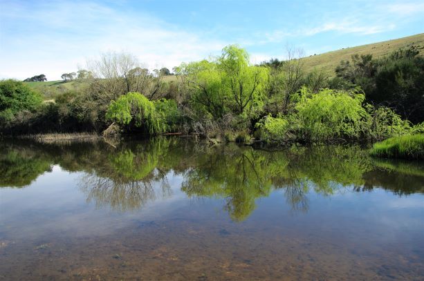 7 Sandy Crossing Road, Bombala NSW 2632, Image 0