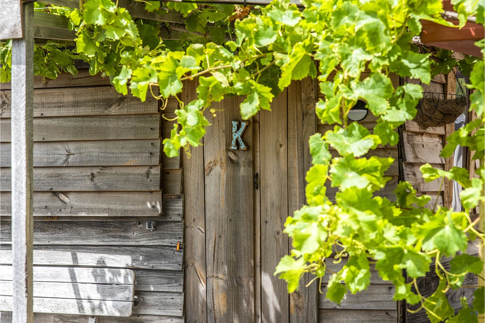 Image 29
