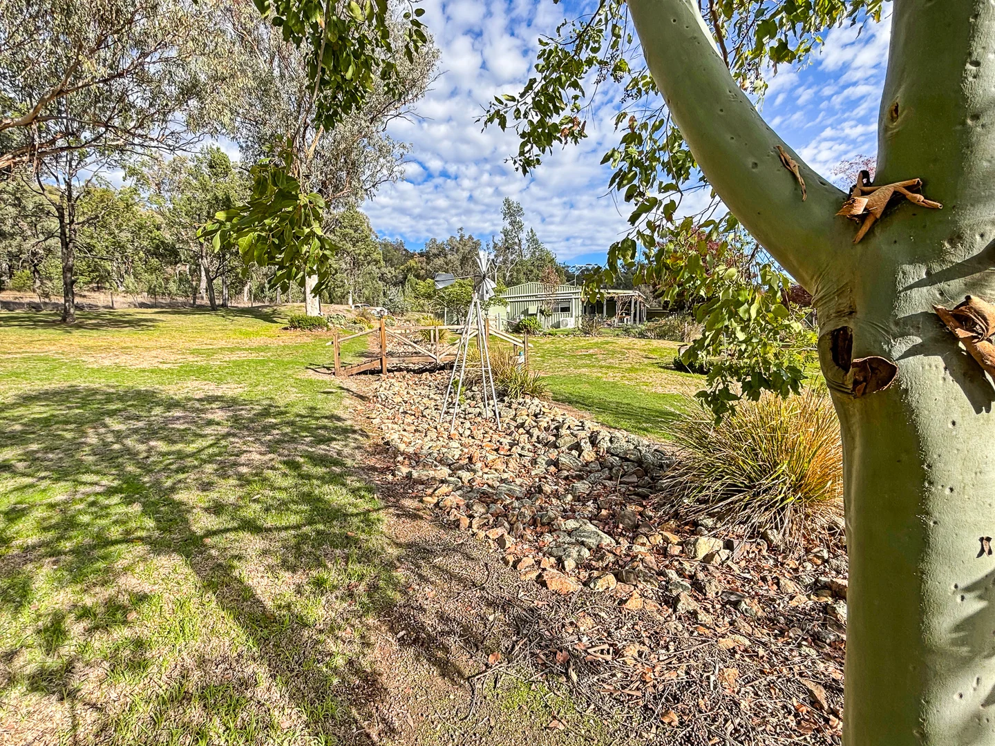Image 15