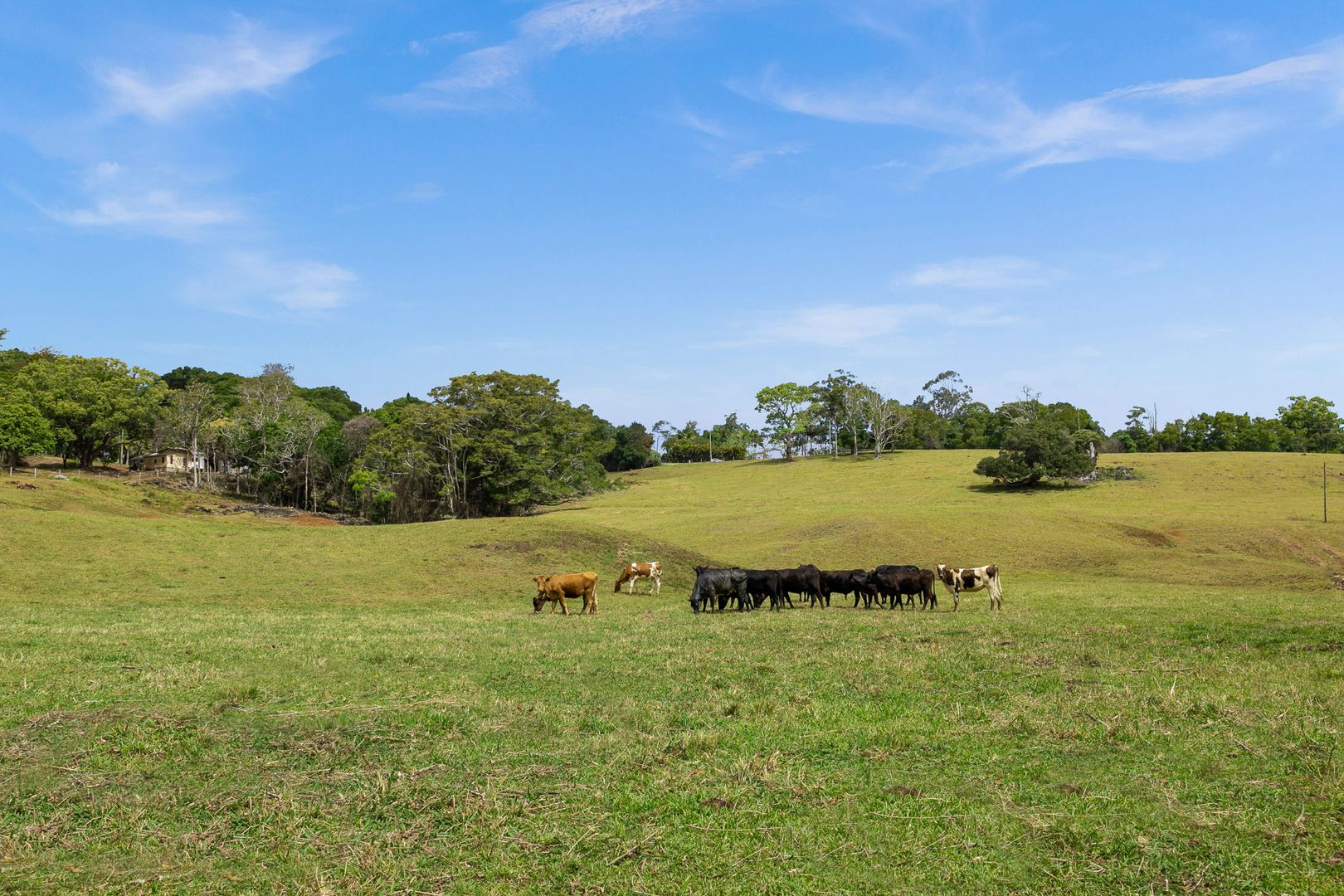 620 Friday Hut Road, Possum Creek NSW 2479, Image 1