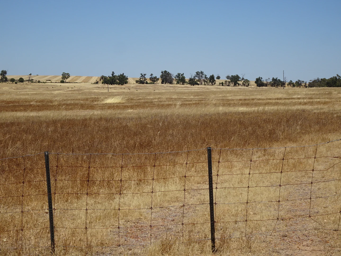 Image 11