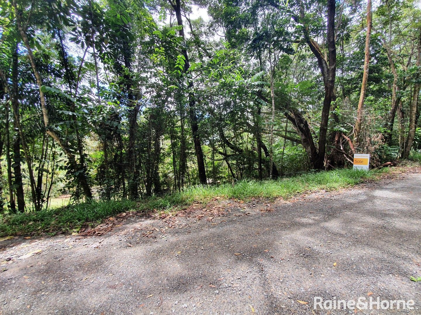 Lot 45 Ronald Road FOREST CREEK, Daintree QLD 4873, Image 0