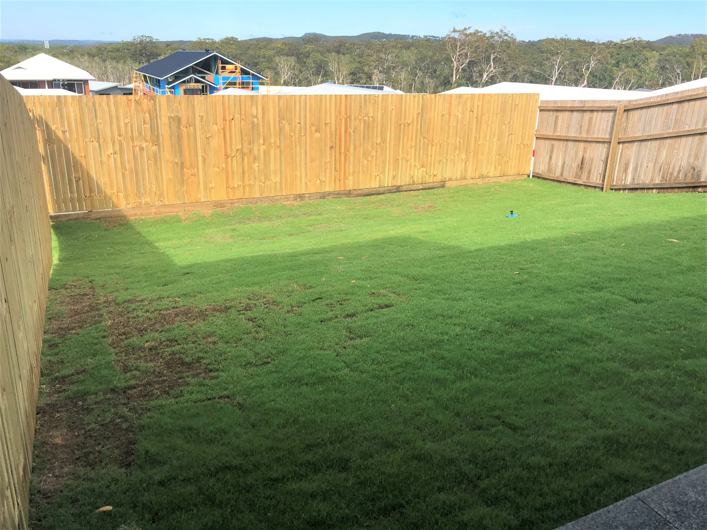 Additional image 8 of 2/3 Jarrah Drive, Peregian Springs QLD 4573