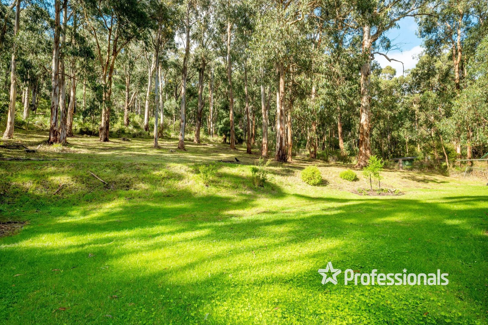 1639 Don Road, Don Valley VIC 3139, Image 1