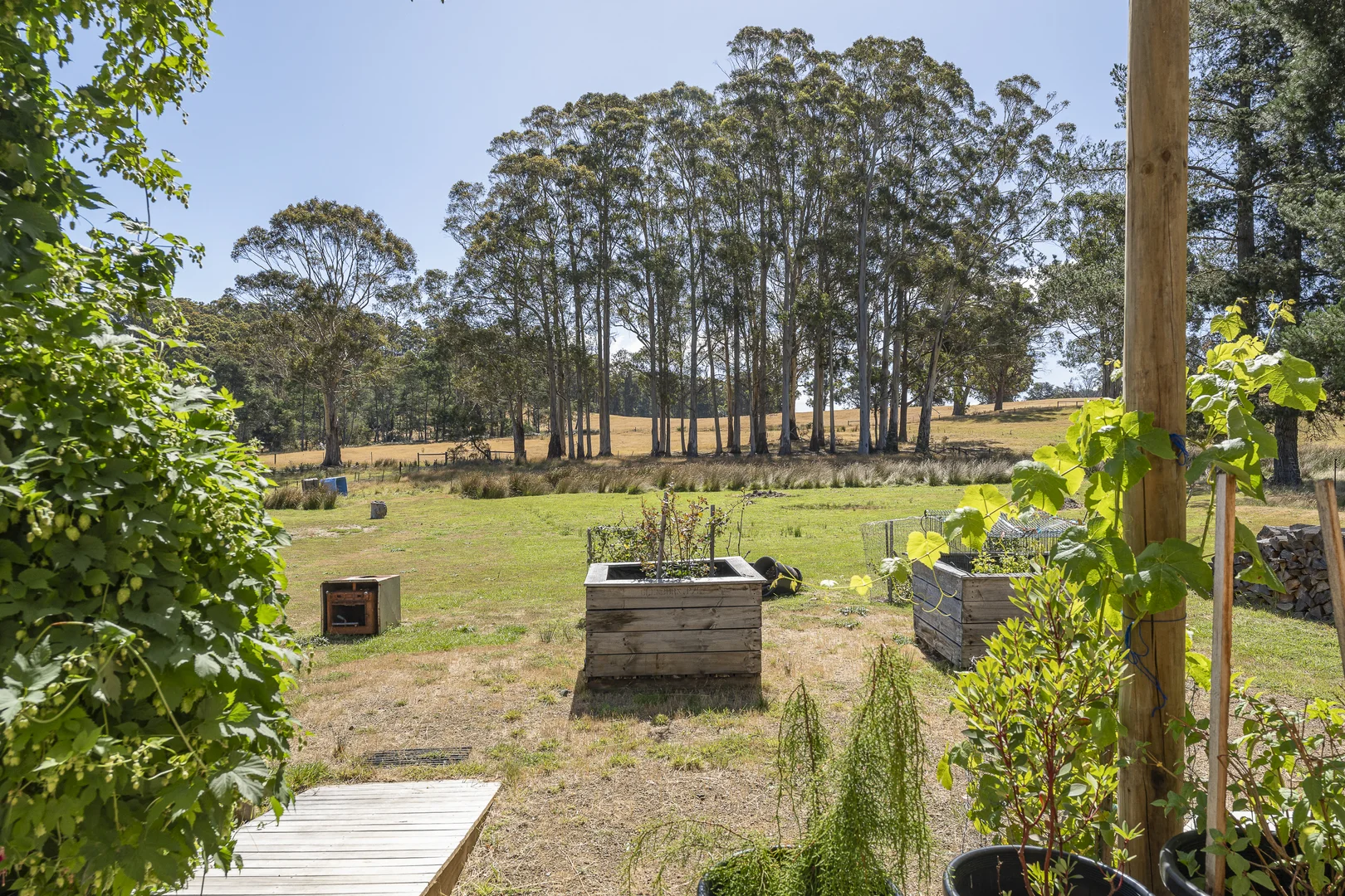 Image 13